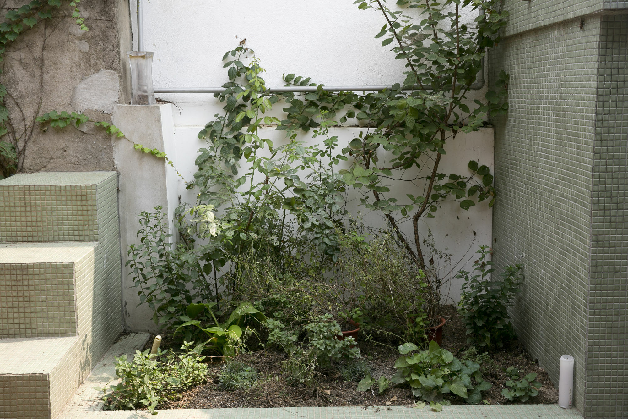Nuri Hanok Guesthouse Seoel Buitenkant foto